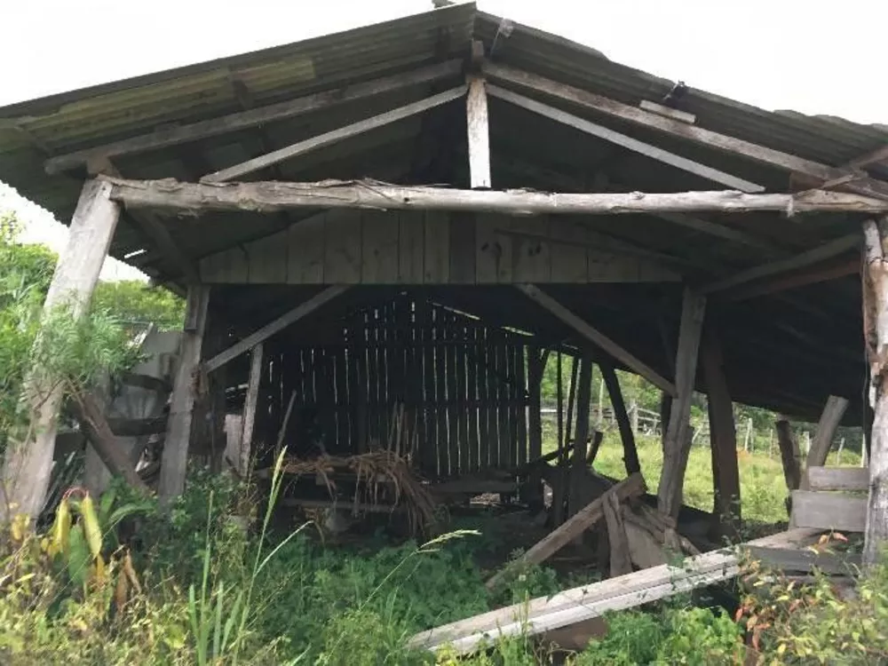 Fazenda à venda com 1 quarto, 54000m² - Foto 2