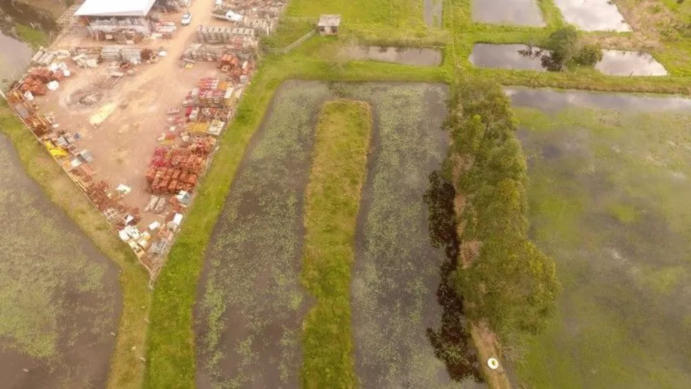 Fazenda à venda com 2 quartos, 3000m² - Foto 4