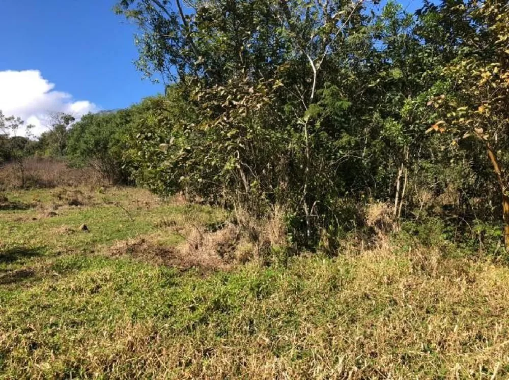 Fazenda à venda com 1 quarto, 38000m² - Foto 3