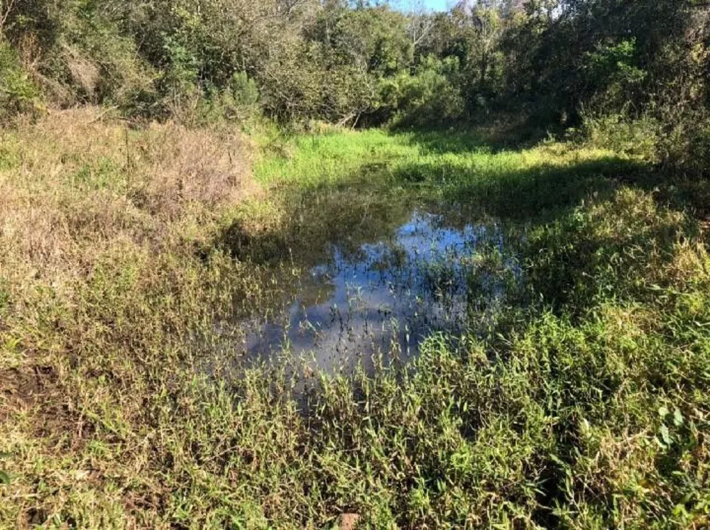 Fazenda à venda com 1 quarto, 38000m² - Foto 2