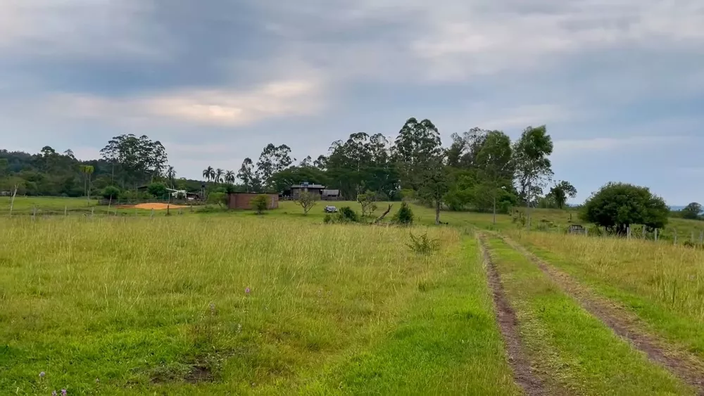 Fazenda à venda com 3 quartos, 32000m² - Foto 3