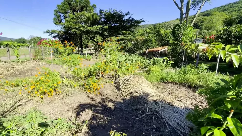 Fazenda à venda com 4 quartos, 75000m² - Foto 4