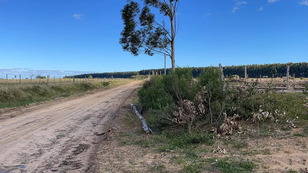 Fazenda à venda com 1 quarto, 5000m² - Foto 2