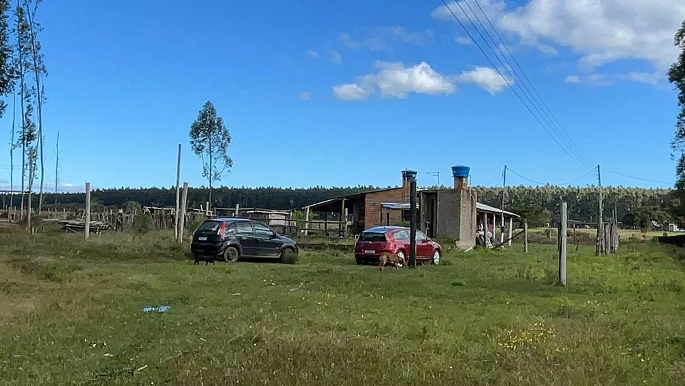 Fazenda à venda com 1 quarto, 5000m² - Foto 4