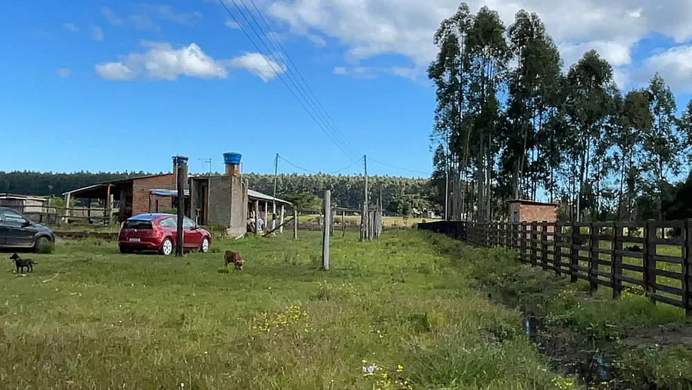 Fazenda à venda com 1 quarto, 5000m² - Foto 3