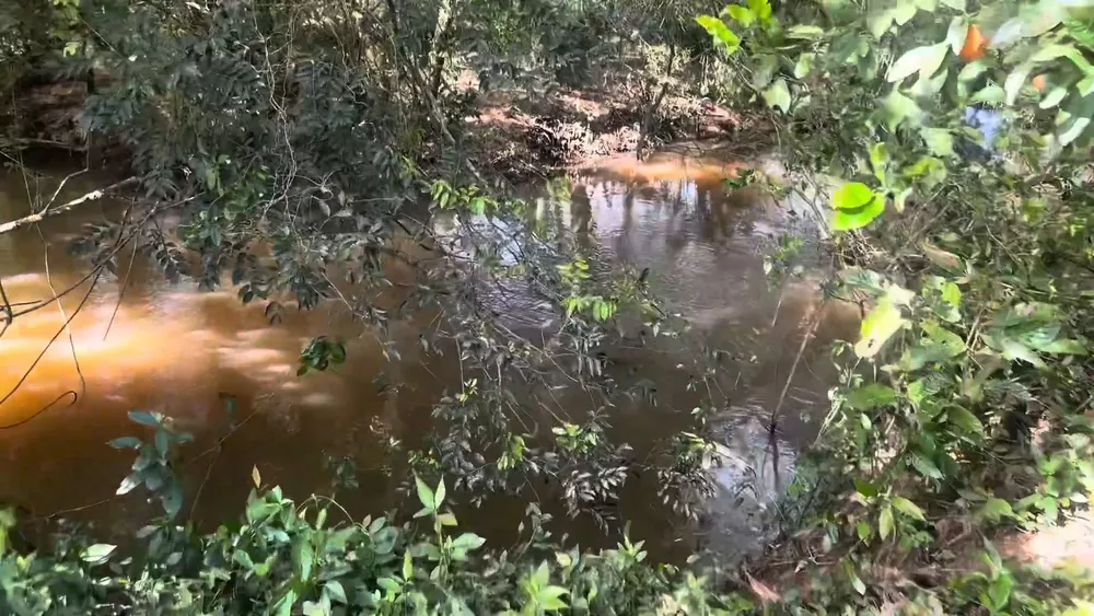 Fazenda à venda com 3 quartos, 1m² - Foto 8