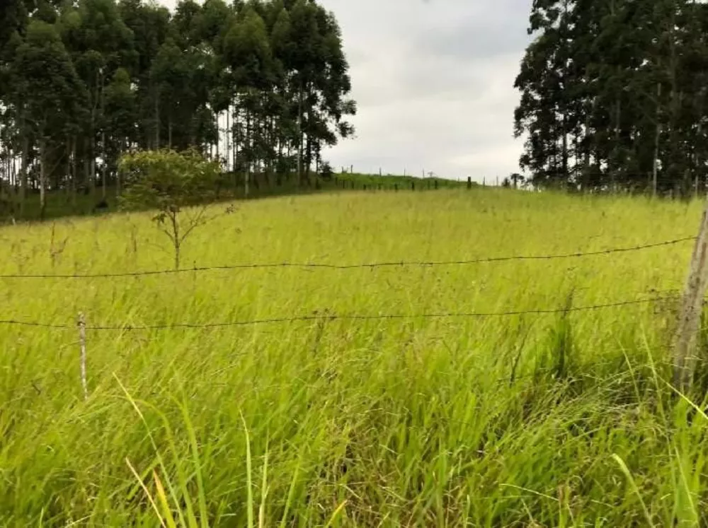 Fazenda à venda com 2 quartos, 20000m² - Foto 3