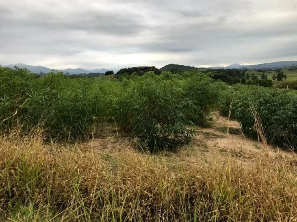 Fazenda à venda com 2 quartos, 20000m² - Foto 4