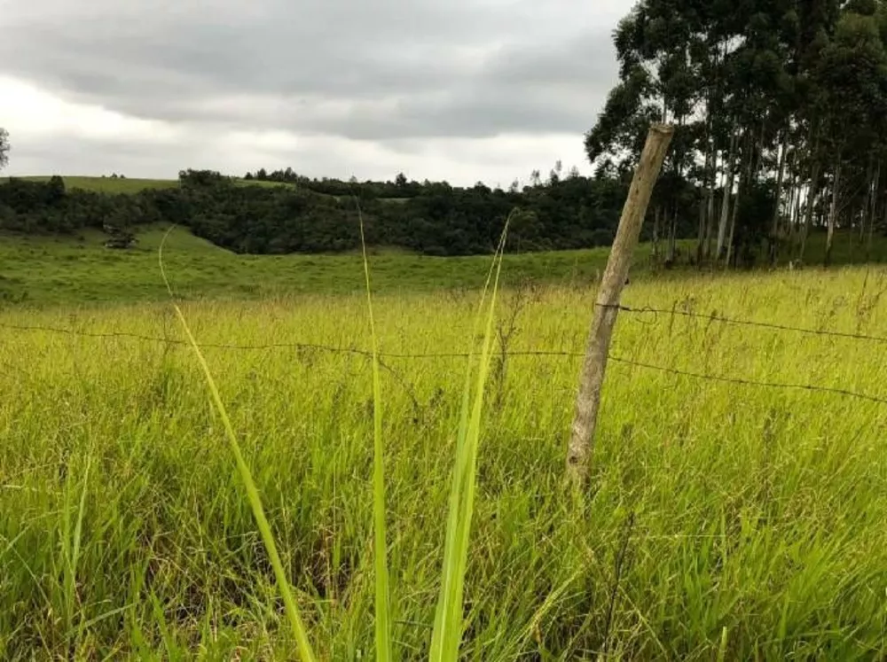 Fazenda à venda com 2 quartos, 20000m² - Foto 2