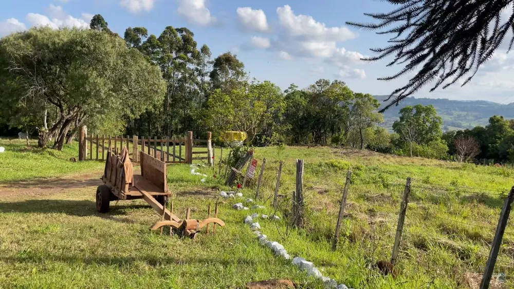 Fazenda à venda com 2 quartos, 90000m² - Foto 3