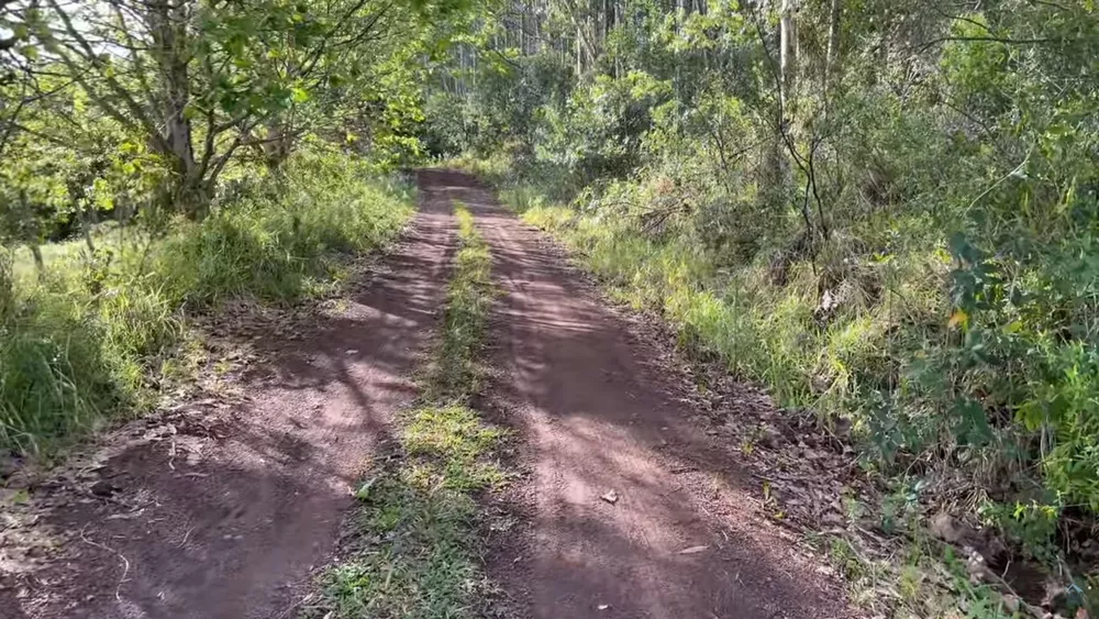 Fazenda à venda com 2 quartos, 90000m² - Foto 4