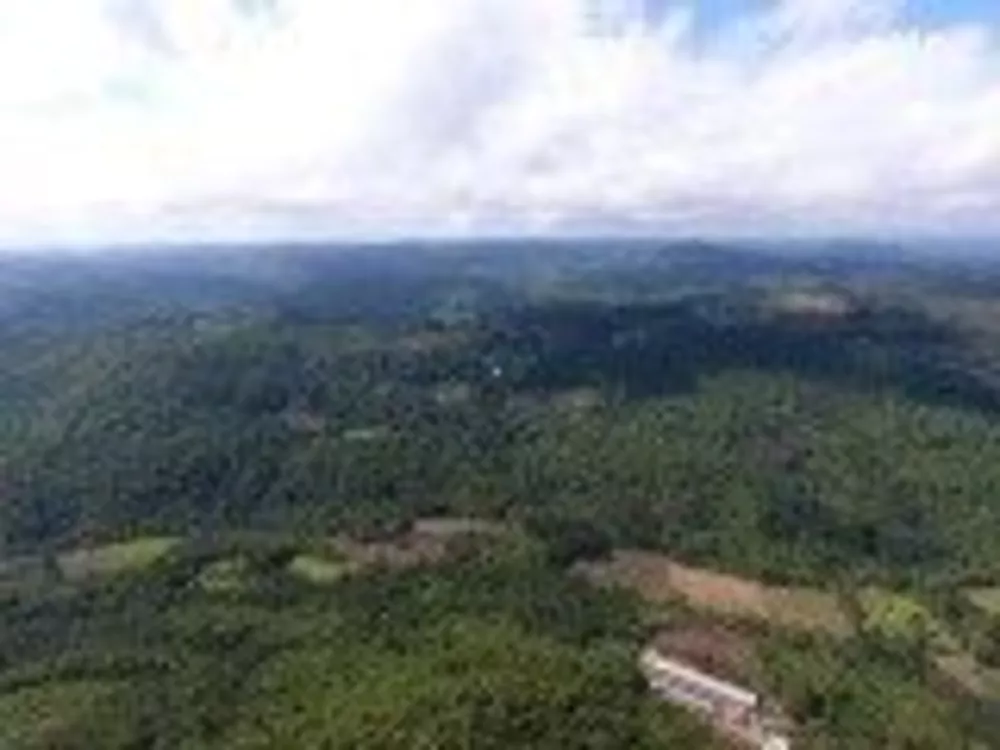 Fazenda à venda com 4 quartos, 30000m² - Foto 4