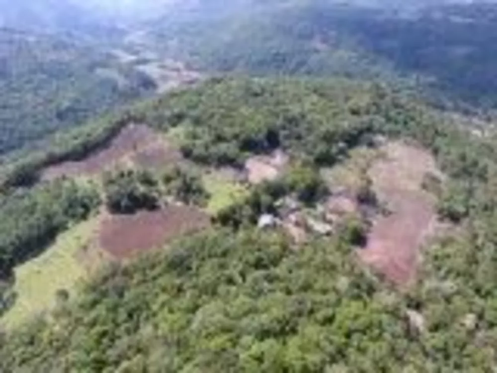 Fazenda à venda com 4 quartos, 30000m² - Foto 2