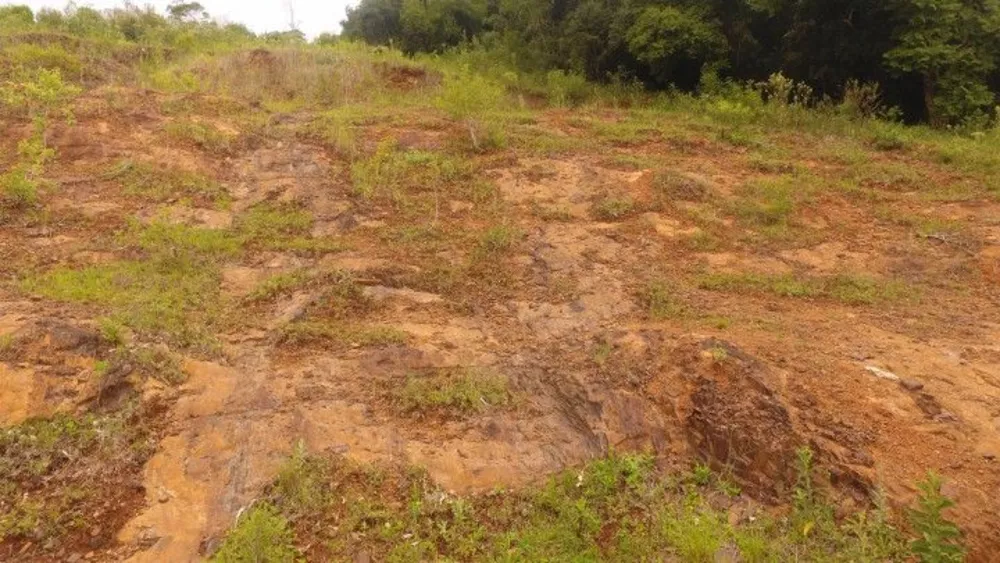 Fazenda à venda com 1 quarto, 40000m² - Foto 2