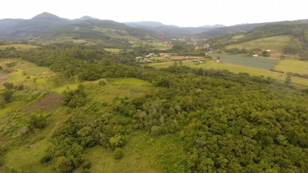 Fazenda à venda com 1 quarto, 40000m² - Foto 4