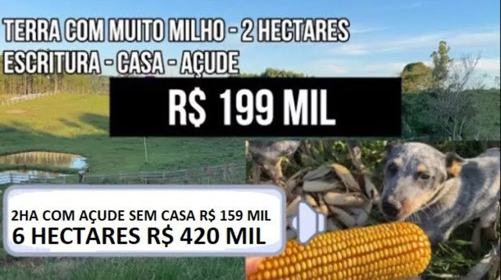 Fazenda à venda com 2 quartos, 60000m² - Foto 1