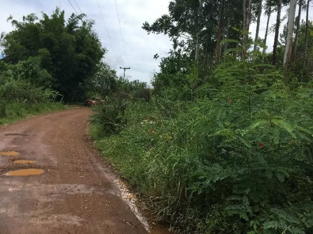 Fazenda à venda com 1 quarto, 4000m² - Foto 4