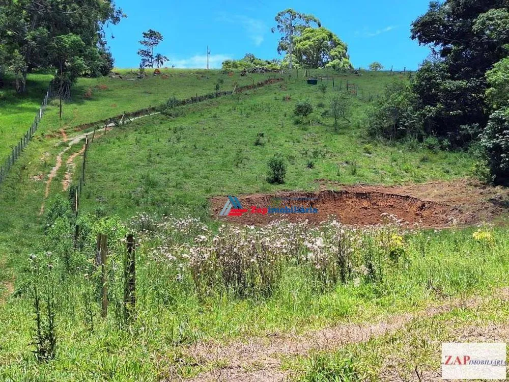 Terreno, 2 hectares - Foto 4