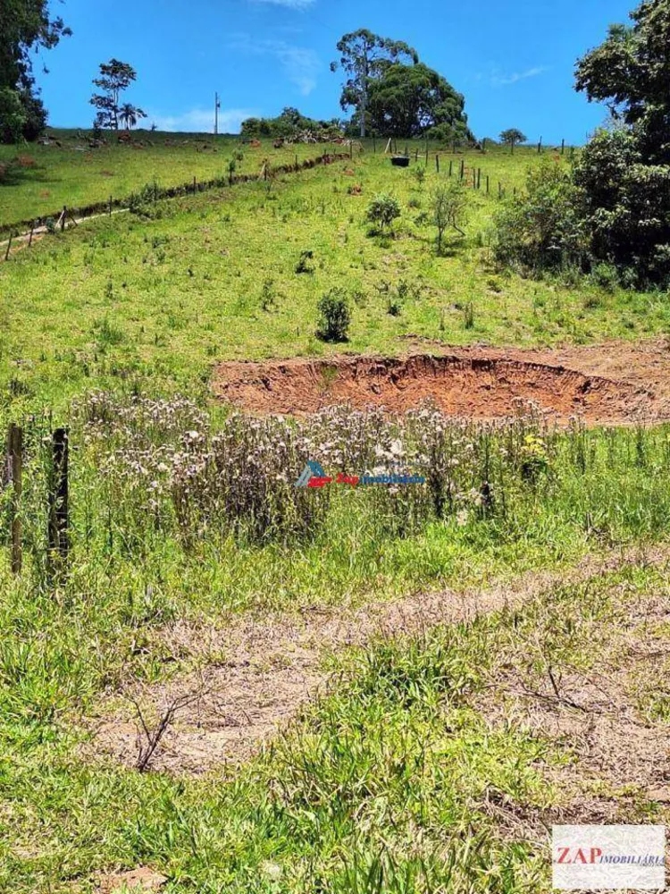 Terreno, 2 hectares - Foto 6