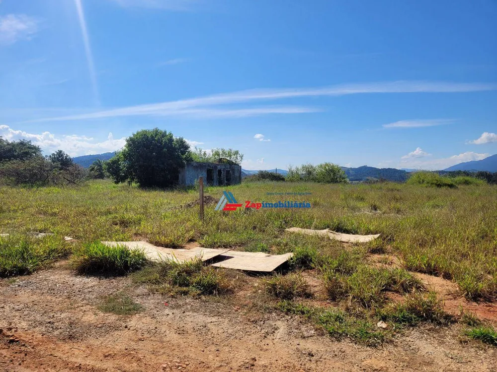 Terreno, 3 hectares - Foto 4