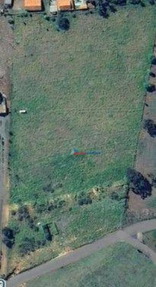 Terreno, 3 hectares - Foto 7