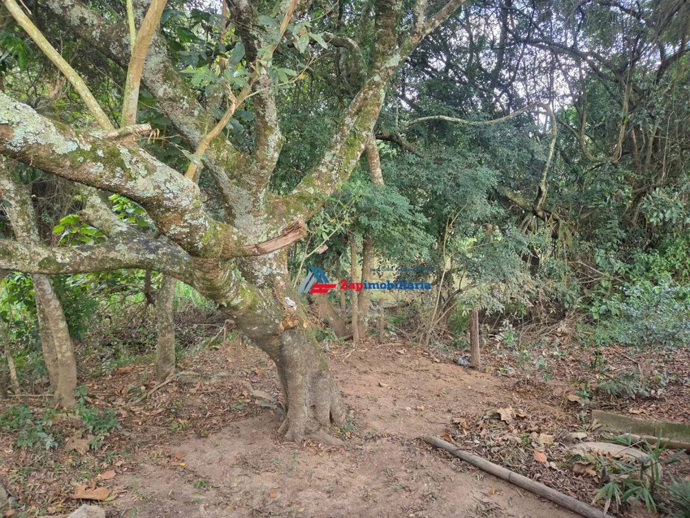 Terreno, 400 m² - Foto 9