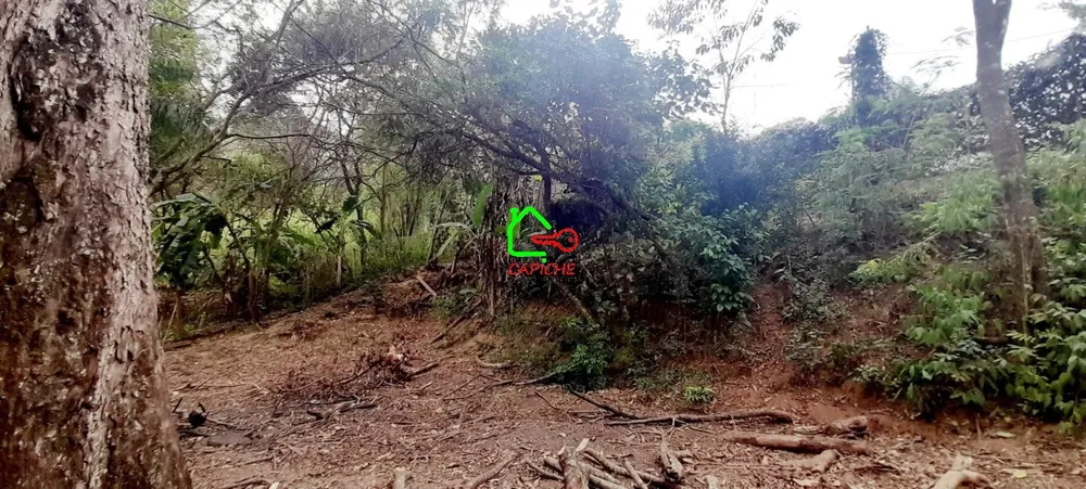 Chácara, 2 quartos - Foto 8