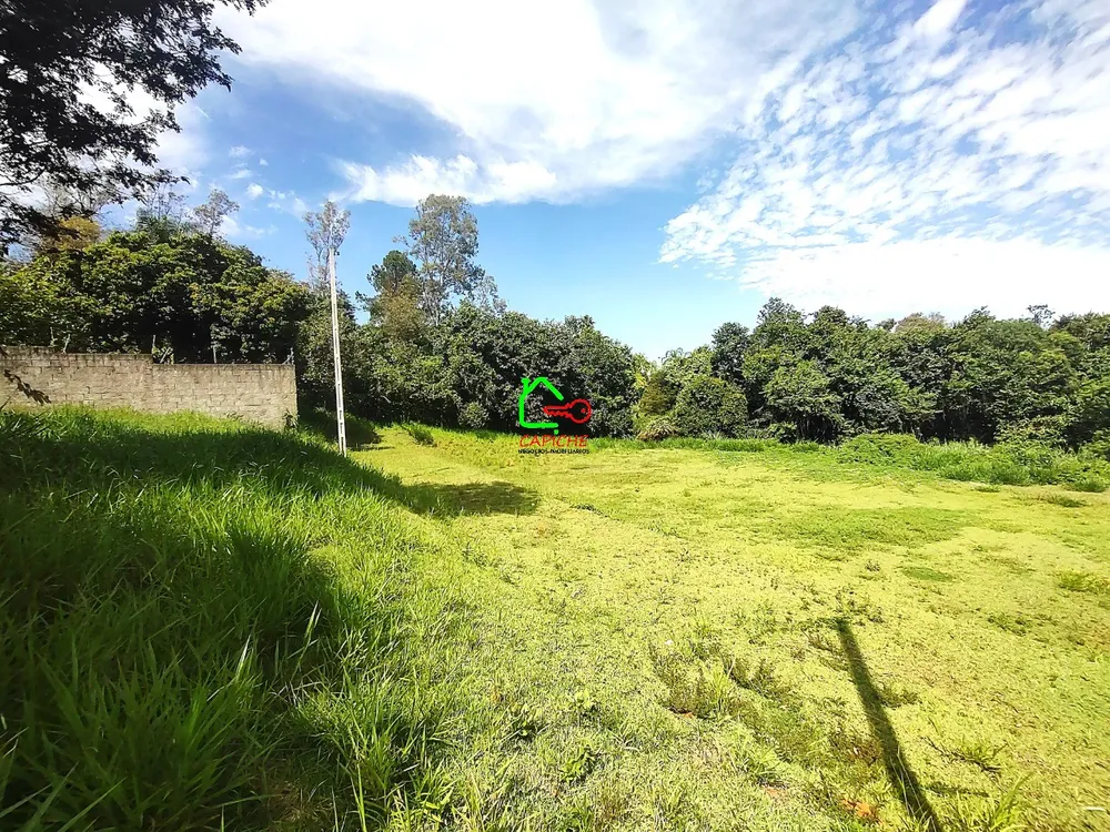 Terreno, 3160 m² - Foto 7