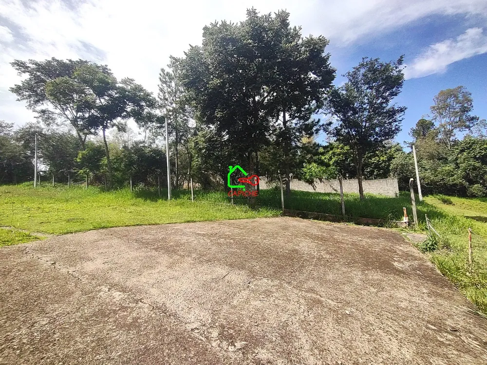 Terreno, 3160 m² - Foto 5