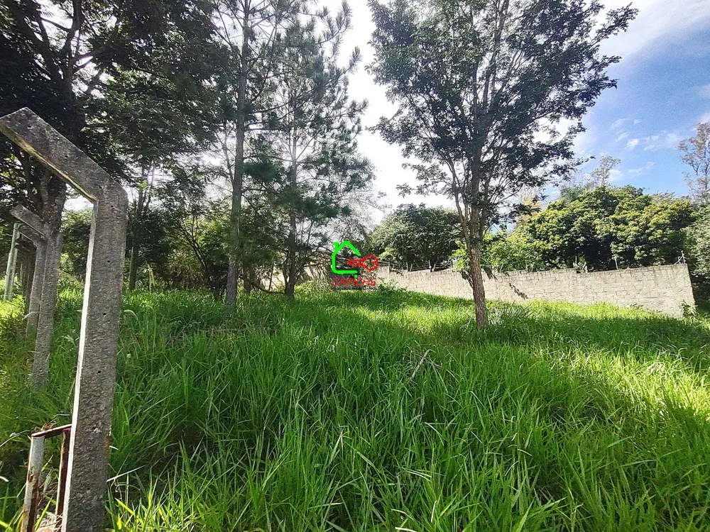 Terreno, 3160 m² - Foto 6