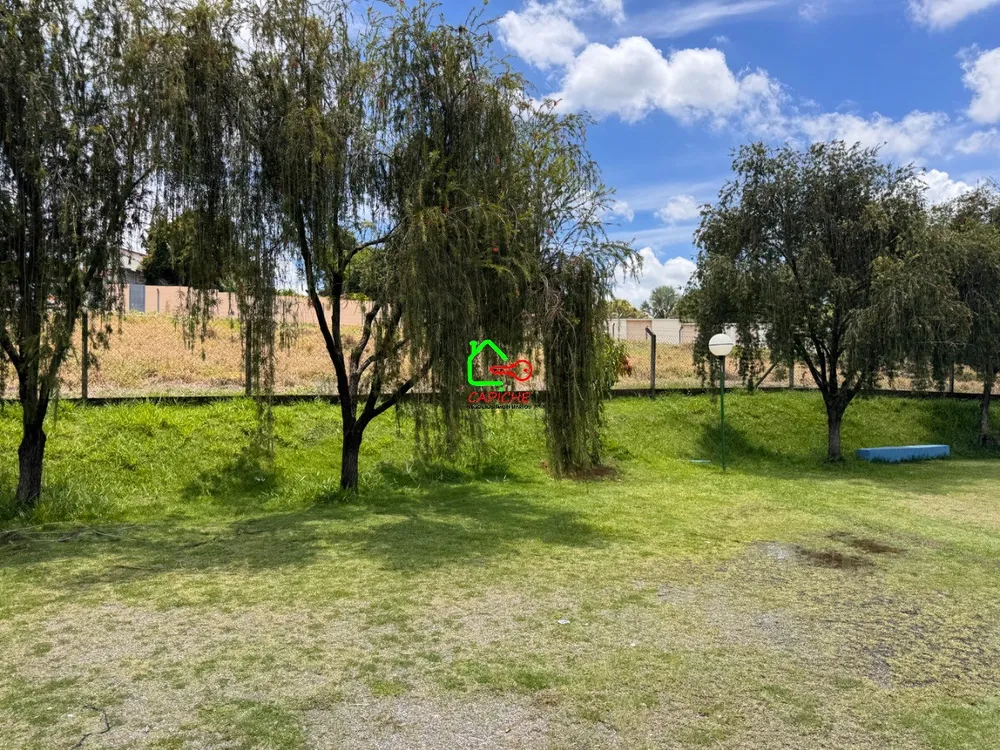 Terreno, 5000 m² - Foto 12