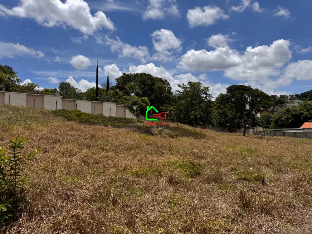 Terreno, 5000 m² - Foto 10