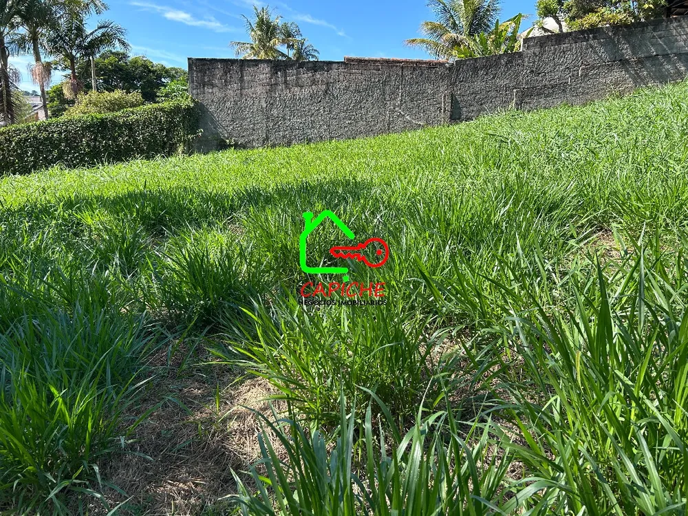 Terreno, 1000 m² - Foto 4