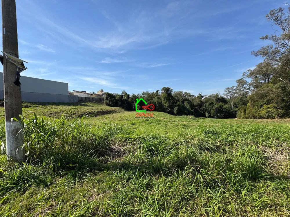 Loteamento e Condomínio, 10000 m² - Foto 2