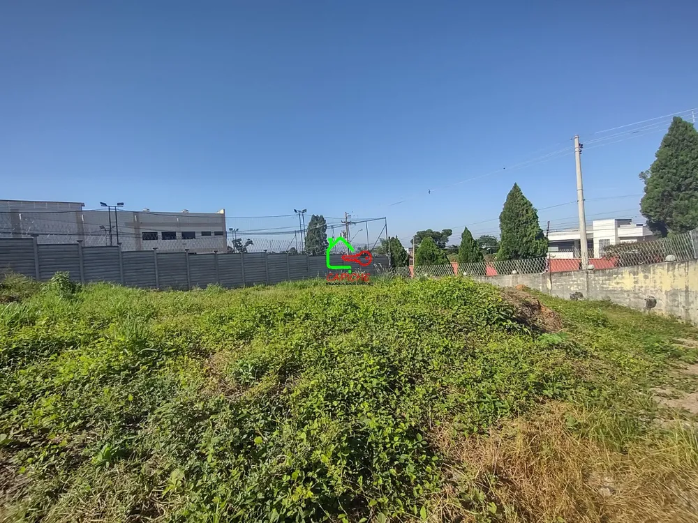 Terreno, 1129 m² - Foto 3
