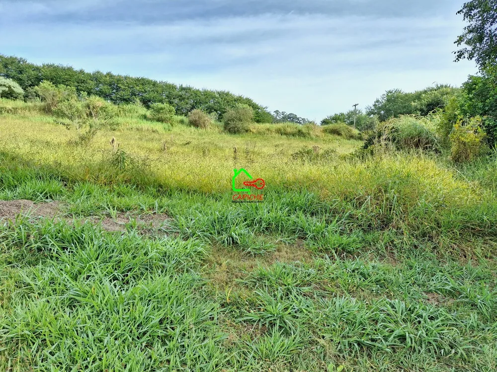 Terreno, 2 hectares - Foto 7