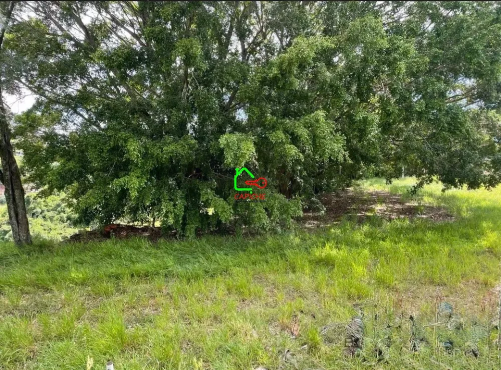 Terreno, 2 hectares - Foto 7
