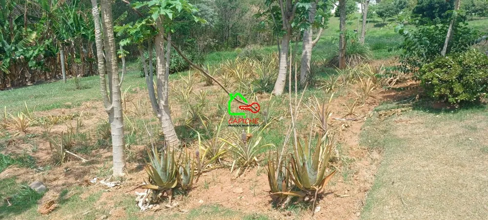 Terreno, 1002 m² - Foto 3