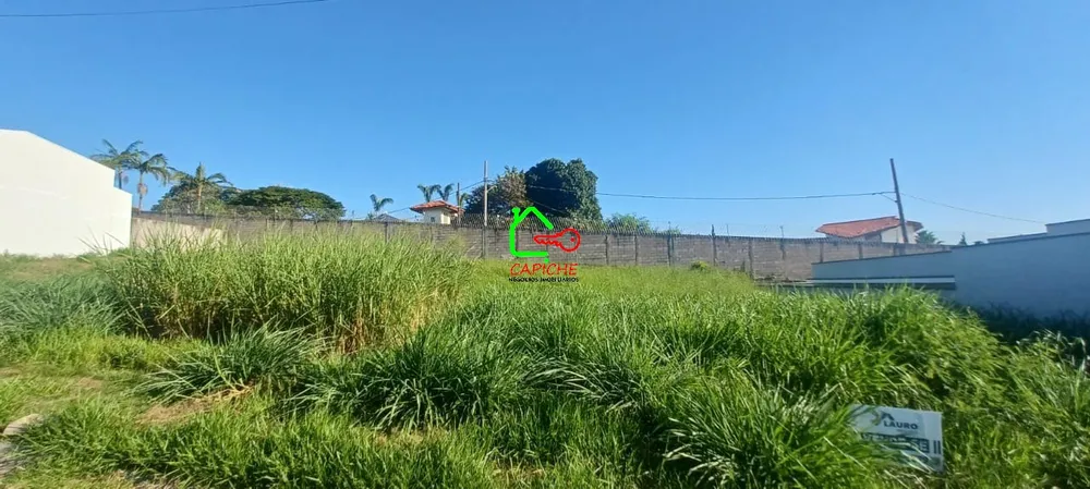 Terreno, 250 m² - Foto 3