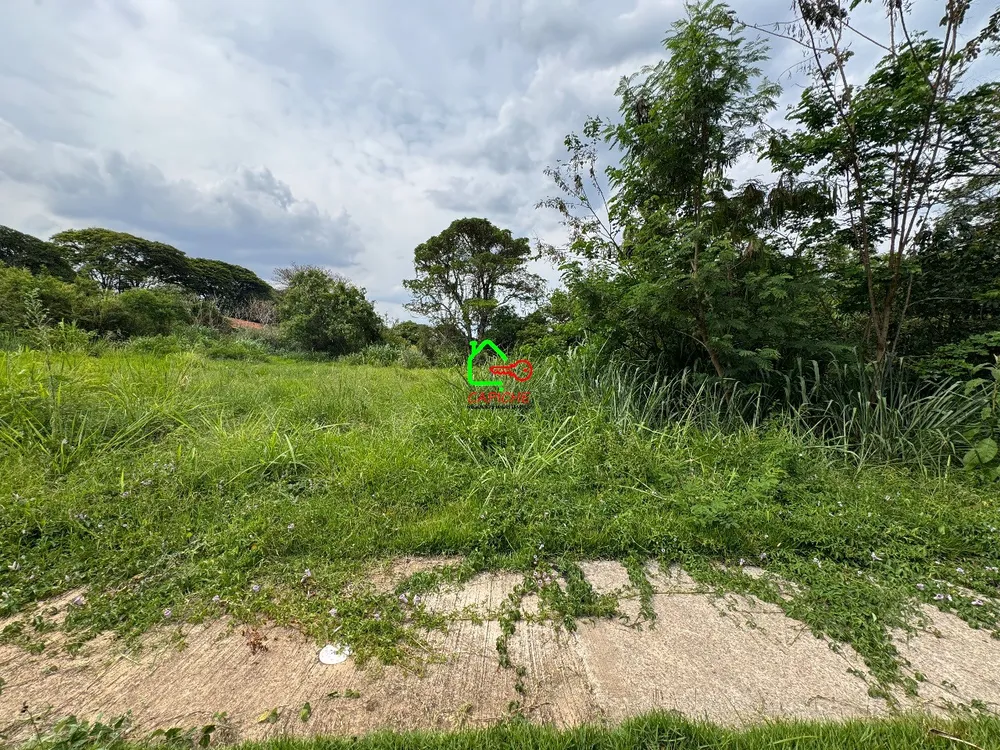 Terreno, 451 m² - Foto 6