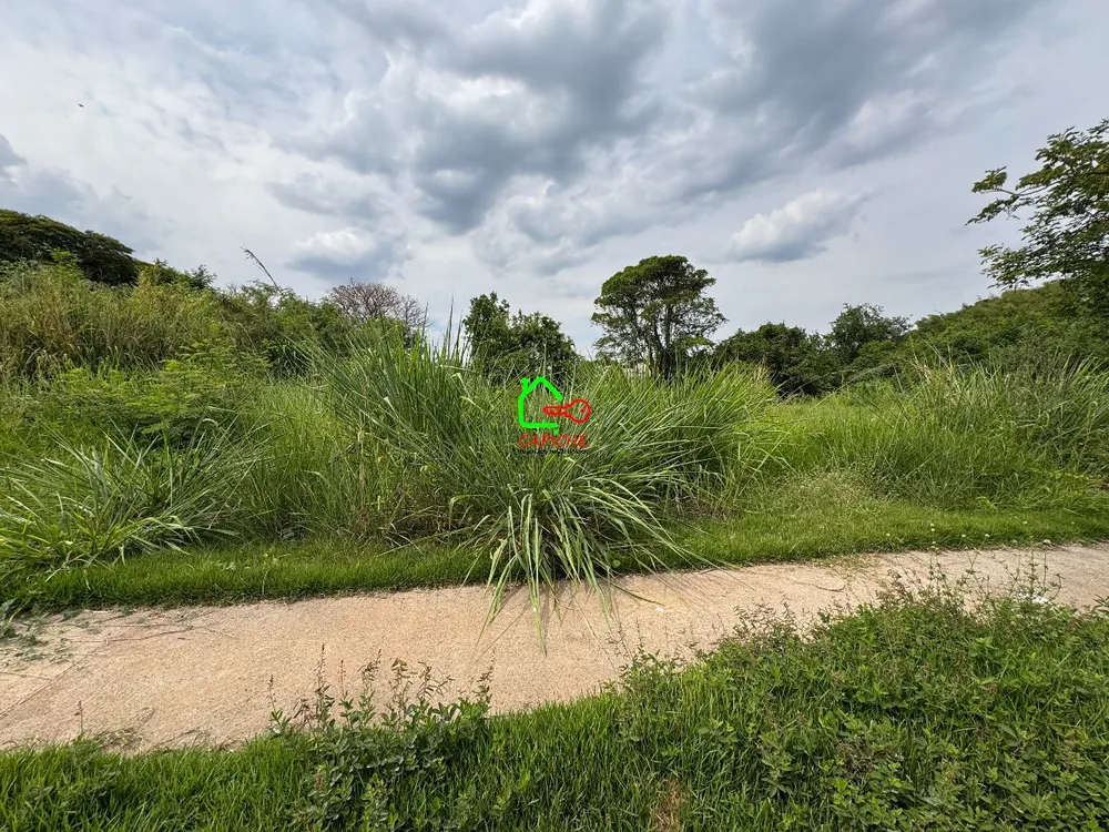 Terreno, 451 m² - Foto 4