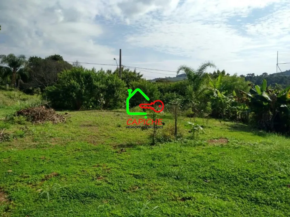 Terreno, 1000 m² - Foto 3
