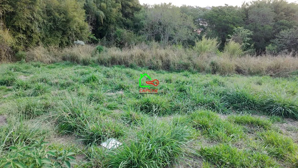 Terreno, 447 m² - Foto 6