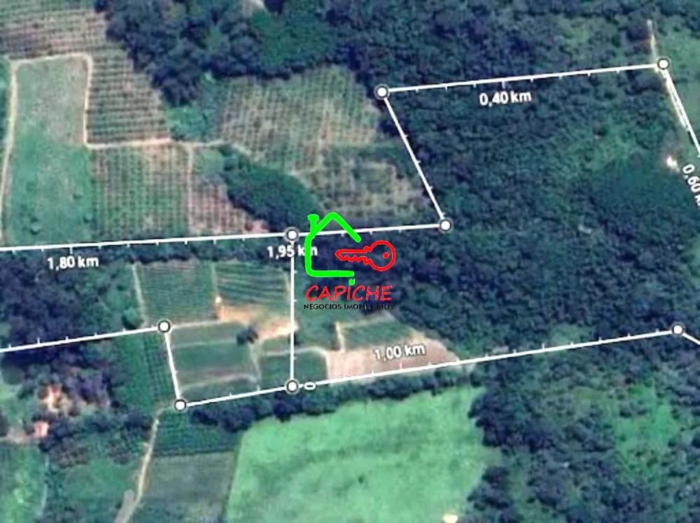 Terreno, 8 hectares - Foto 2
