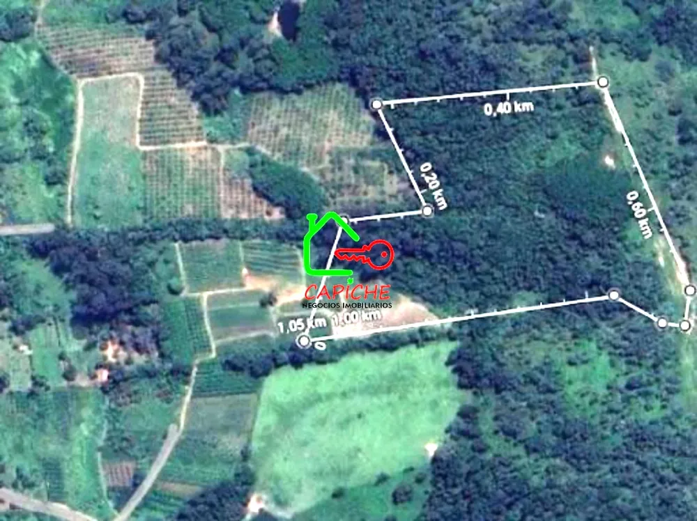 Terreno, 8 hectares - Foto 1