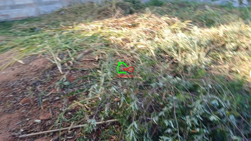 Terreno, 250 m² - Foto 7