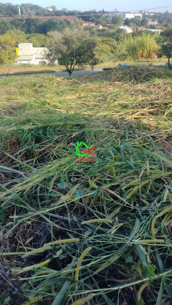 Terreno, 250 m² - Foto 6