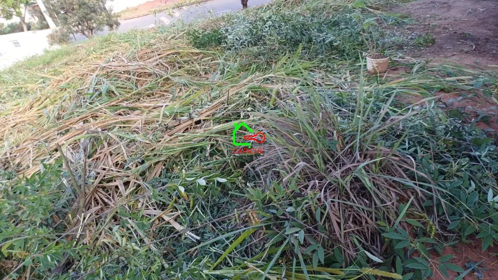 Terreno, 250 m² - Foto 1