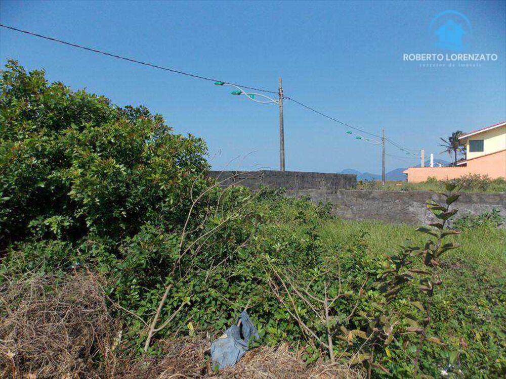 Terreno, 1006 m² - Foto 2