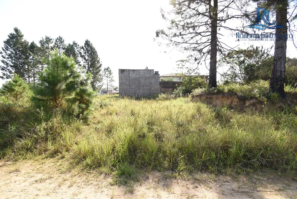 Terreno, 250 m² - Foto 6